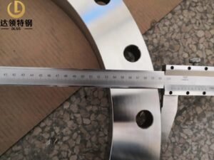 ASTM A182 F321 Forged Flange Ring