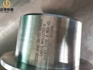 ASME SA815 WPS32750 Stub End