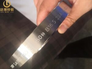 ASTM A182 S32205 F60 Flanges