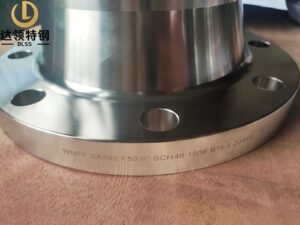 ASME SA182 F53 Forged Flange