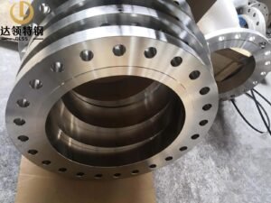 ASTM A182 F304 Forged Orifice Flange